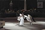 DSC_6591-DDeRosaPhoto.JPG