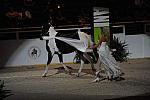 DSC_6599-DDeRosaPhoto.JPG