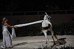 DSC_6652-DDeRosaPhoto.JPG