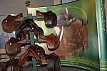 DSC_0113-DDeRosaPhoto.jpg