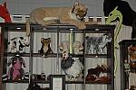 DSC_0128-DDeRosaPhoto.jpg