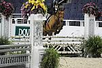 DSC_2371-Mizzentop-AshleyFoster-10-25-09-Sponsors-DDeRosaPhoto.jpg