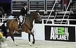 WIHS-10-21-09-DSC_2417-Cezanne-LillianHahn-AnimalPlanet-DDeRosaPhoto.jpg