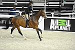 WIHS-10-22-09-DSC_4496-Solitaire-AbigailMcArdle-LgJrHtr15U-Sponsors-AnimalPlanet-DDeRosaPhoto.jpg