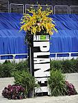 WIHS-10-23-09-DER_6751-OpJpr213-Sponsors-AnimalPlanet-DDeRosaPhoto.jpg