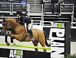 WIHS-10-24-09-DSC_0231-Spock-TaylorKain-Sponsors-AnimalPlanet-DDeRosaPhoto.jpg
