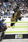 WIHS-10-24-09-DSC_1026-Capitano-DanielleTorano-Sponsors-AnimalPlanet-DDeRosaPhoto.jpg