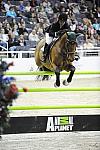 WIHS-10-24-09-DSC_1027-Capitano-DanielleTorano-Sponsors-AnimalPlanet-DDeRosaPhoto.jpg