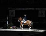 WIHS-19-23-09-DER_7353-AshleyHolzer-PopArt-Sponsors-AnimalPlanet-DDeRosaPhoto.jpg