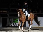 WIHS-19-23-09-DER_7389-AshleyHolzer-PopArt-Sponsors-AnimalPlanet-DDeRosaPhoto.jpg