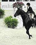 WIHS-10-21-09-DSC_2397-007-JoelleKennedy-DDeRosaPhoto.jpg