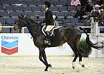 WIHS-10-20-09-DSC_0477-Respekt13-TraceyPan-kita-Sponsors-Chevron-DDeRosaPhoto.jpg