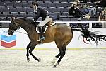 WIHS-10-20-09-DSC_9913-Castlewalk-ScottStewart-Sponsors-Chevron-DDeRosaPhoto.jpg