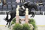 WIHS-10-21-09-DSC_2366-Zoom-LauraSexton-Sponsors-Chevron-DDeRosaPhoto.jpg