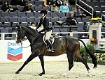 WIHS-10-23-09-DSC_8329-CommonSense-HayleyBarnhill-Sponsors-Chevron-DDeRosaPhoto.jpg