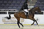 WIHS-10-21-09-DSC_1424-Rosalynn-HuntTosh-Sponsors-Chronicle-DDeRosaPhoto.jpg