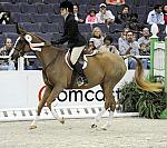 WIHS-10-25-09-DSC_2707-Sponsors-Comcast-DDeRosaPhoto.jpg