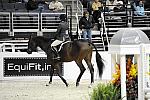 WIHS-10-20-09-DSC_0401-Costello-ShawJohnsonPrice-Sponsors-EquFit-DDeRosaPhoto.jpg
