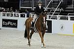 WIHS-10-20-09-DSC_0929-Amulet-LindsayFerguson-Sponsors-EquFit-DDeRosaPhoto.jpg