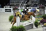WIHS-10-21-09-DSC_1555-Costar-ShelleyCampf-Sponsors-EquiFit-DDeRosaPhoto.jpg