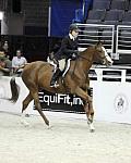 WIHS-10-21-09-DSC_2739-FineKiss-BettyOare-Sponsors-EquiFit-DDeRosaPhoto.jpg