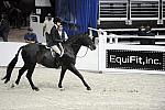 WIHS-10-22-09-DSC_4233-ScoiallySpeaking-AdeleNorton-SmJrHtr15U-Sponsors-EquFit-DDeRosaPhoto.jpg
