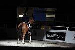 WIHS-10-25-09-DSC_3883-AshleyHolzer-PopArt-Sponsors-EquFit-DDeRosaPhoto.jpg