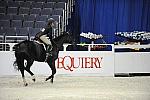 WIHS-10-20-09-DSC_1022-JustAskMe-PhoebeWeseley-Sponsors-Equiery-DDeRosaPhoto.jpg