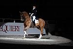 WIHS-10-24-10-Cl250HtrDrby-DER_8399-Jerseyboy-JenniferAlfano-Sponsors-Equiery-DDeRosaPhoto.jpg