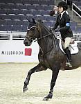 WIHS-10-23-09-DER_6246-Vornado-JessicaSpringsteen-Sponsors-Millbrook-DDeRosaPhoto.jpg
