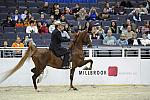 WIHS-10-25-09-DSC_3455-WOH-BillShiflet-Sponsors-Millbrook-DDeRosaPhoto.jpg