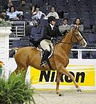 WIHS-10-24-09-DER_8386-Sponsors-Nikon-DDeRosaPhoto.jpg