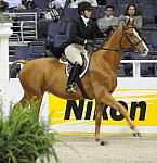 WIHS-10-24-10-Cl250HtrDrby-DER_8386-Jerseyboy-JenniferAlfano-Sponsors-Nikon-DDeRosaPhoto.jpg