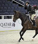 WIHS-10-20-09-DSC_0001-Sponsors-Qatar-DDeRosaPhoto.jpg