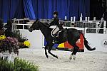 WIHS-10-20-09-DSC_0864-Lexington-SiennaSumavielle-Sponsors-USHJA-DDeRosaPhoto.jpg