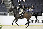 WIHS-10-20-09-DSC_0943-PerfectGentleman-BrittanyWyatt-DDeRosaPhoto.jpg