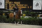 WIHS-10-20-09-DSC_0981-MickeyMouse-DarbyMazzarisi-DDeRosaPhoto.jpg