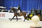WIHS-10-20-09-DSC_1114-SurfsUp-CindySchmidt-DDeRosaPhoto.jpg