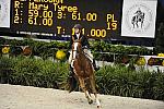 WIHS-10-20-09-DSC_1140-Luvbug-PattiSchindler-DDeRosaPhoto.jpg