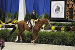WIHS-10-20-09-DSC_1143-Luvbug-PattiSchindler-DDeRosaPhoto.jpg