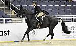 WIHS-10-20-09-DSC_1186-JustAskMe-PhoebeWeseley-DDeRosaPhoto.jpg