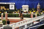 WIHS-10-20-09-DSC_1258-Vermilion-AinsleySadlo-DDeRosaPhoto.jpg