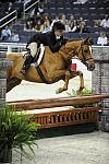 WIHS-10-20-09-DSC_0612-BusinessAsUsual-SophiaBednarik-DDeRosaPhoto.jpg