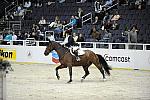 WIHS-10-21-09-DSC_2945-WIHSChildJpr-Westley-RachelHorowitz-DDeRosaPhoto.jpg
