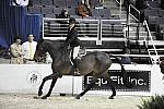 WIHS-10-23-09-WIHSJrEqHtr-DSC_8176-InPursuit-SamanthaSmith-DDeRosaPhoto.jpg