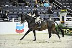 WIHS-10-23-09-WIHSJrEqHtr-DSC_8329-CommonSense-HayleyBarnhill-DDeRosaPhoto.jpg
