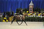 WIHS-10-24-09-Cl185WIHSPnyEqFinals-DER_8273-PromiseToo-VictoriaColvin-DDeRosaPhoto.jpg