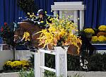 VancouverD'Auvrey-DanielleTorano-DSC_2795-DDeRosaPhoto.jpg