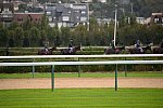Alltech-WEG-10-10-13-5401-DDeRosaPhoto