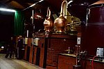 Alltech-WEG-10-10-13-5445-DDeRosaPhoto
